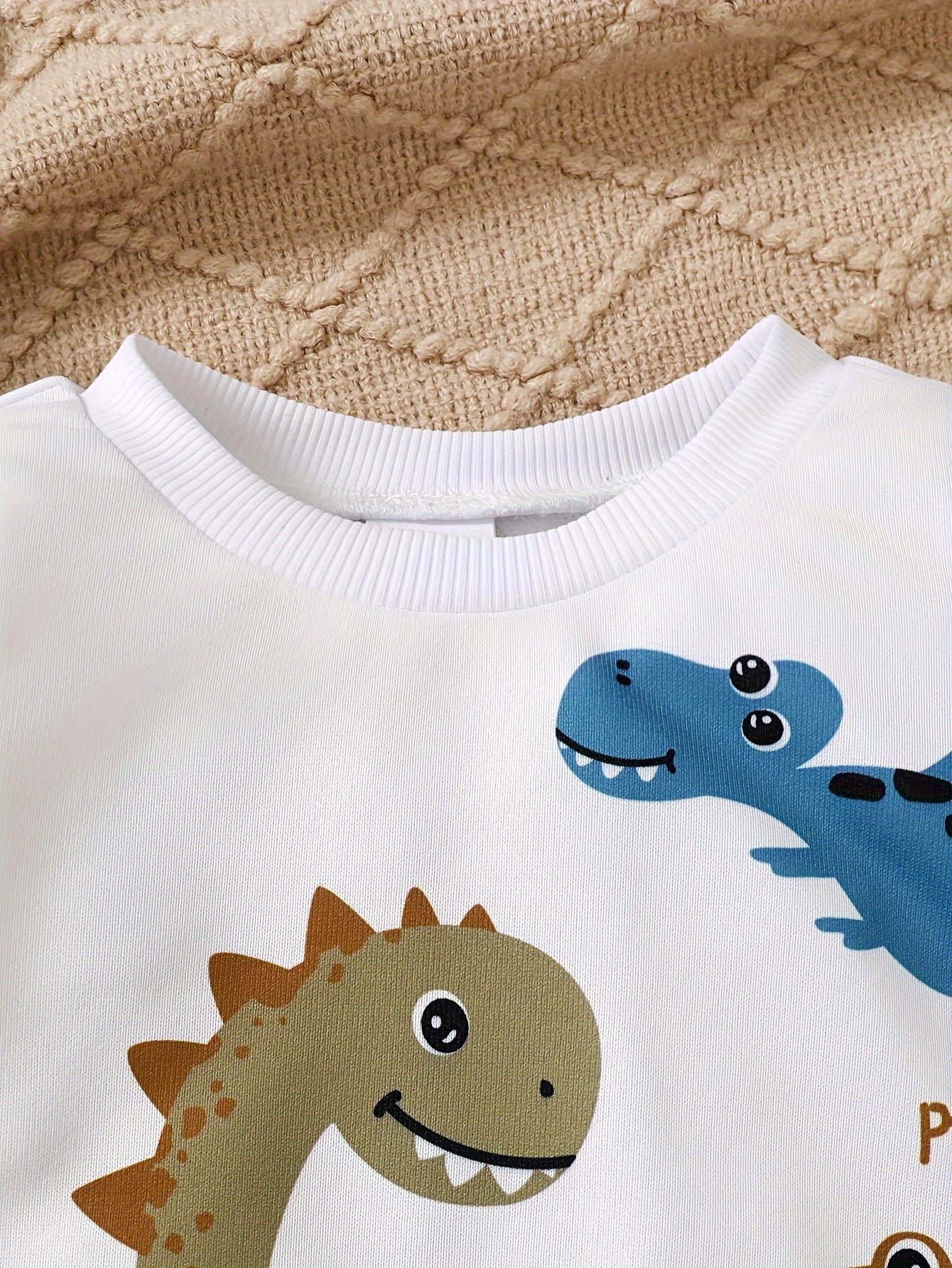 Dinosaur Printed Long Sleeve Sweatshirts & Pants