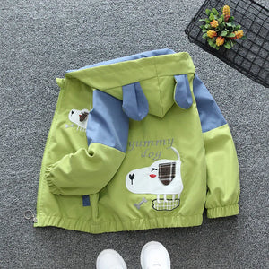 Premium Hooded Zipper Windbreaker Jacket