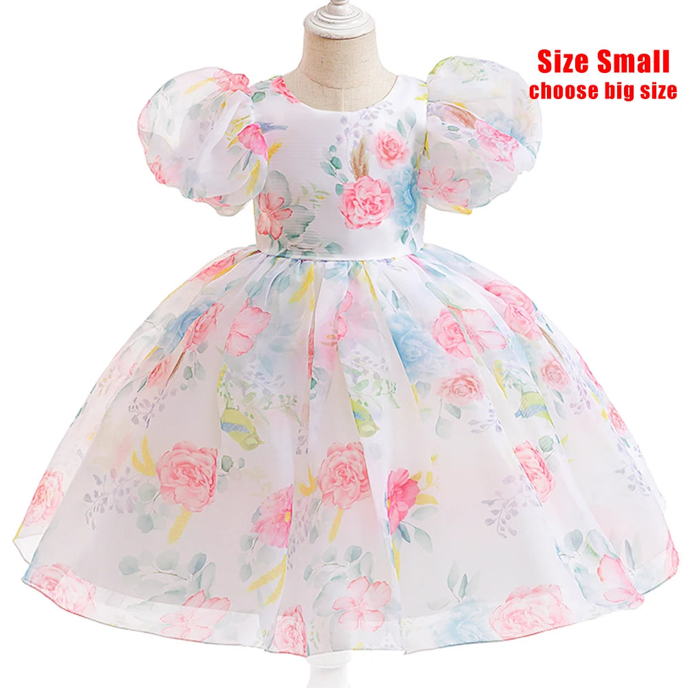 Princess Tulle Puff Sleeve Party Kids Dress