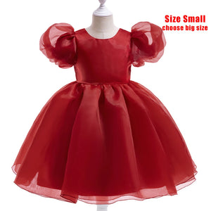 Princess Tulle Puff Sleeve Party Kids Dress