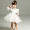 Baby Girl Long Sleeve Party Dress
