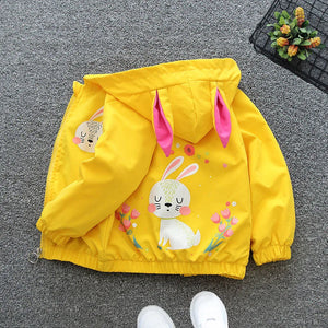 Premium Hooded Zipper Windbreaker Jacket