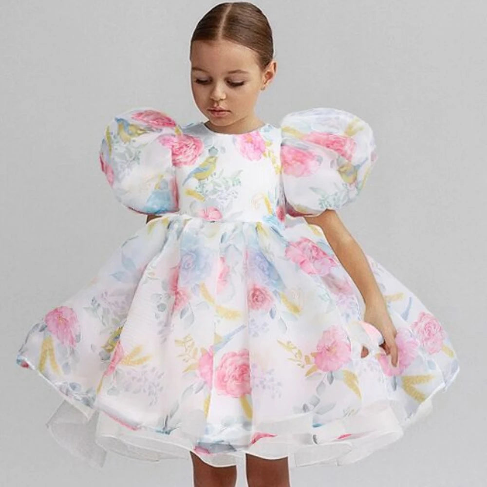 Princess Tulle Puff Sleeve Party Kids Dress