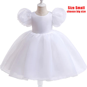 Princess Tulle Puff Sleeve Party Kids Dress