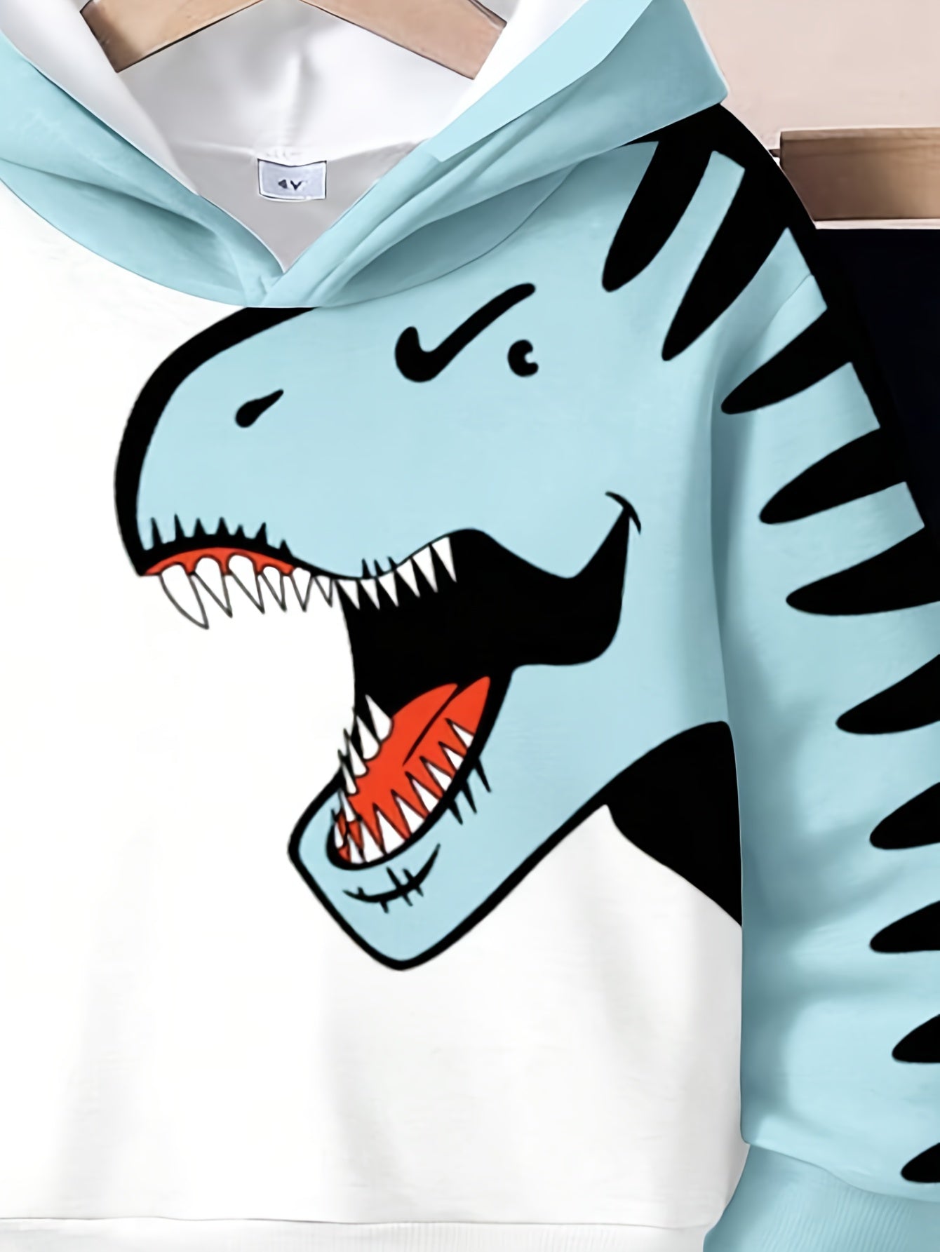 2PCs Dinosaur Printed Hoodie and Pants Set